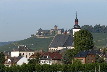 Blick über Mittelheim auf Basilika des Schlosses Johannisberg